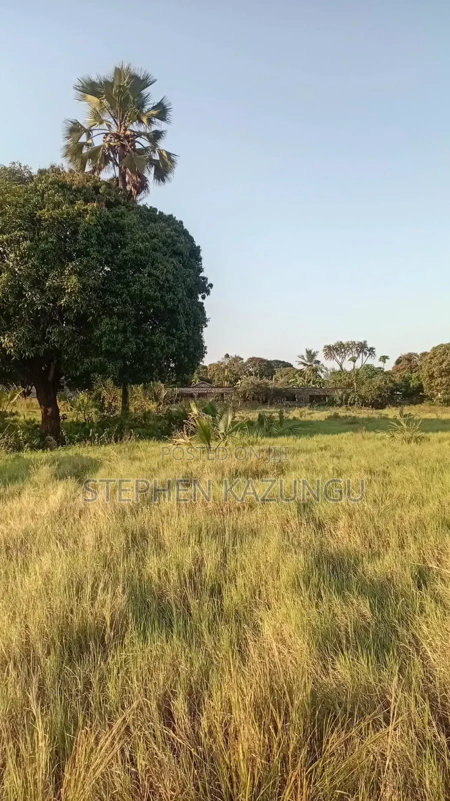 Beach Side 1/4 Acre Plot @ Kinondo, 400 Metres From the Tarmac Road.