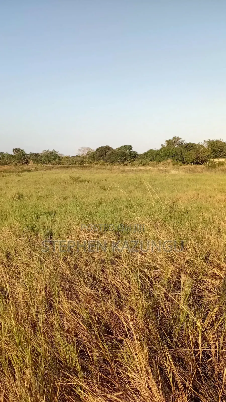 Beach Side 1/4 Acre Plot @ Kinondo, 400 Metres From the Tarmac Road.