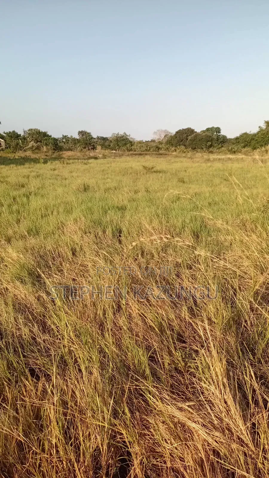 Beach Side 1/4 Acre Plot @ Kinondo, 400 Metres From the Tarmac Road.