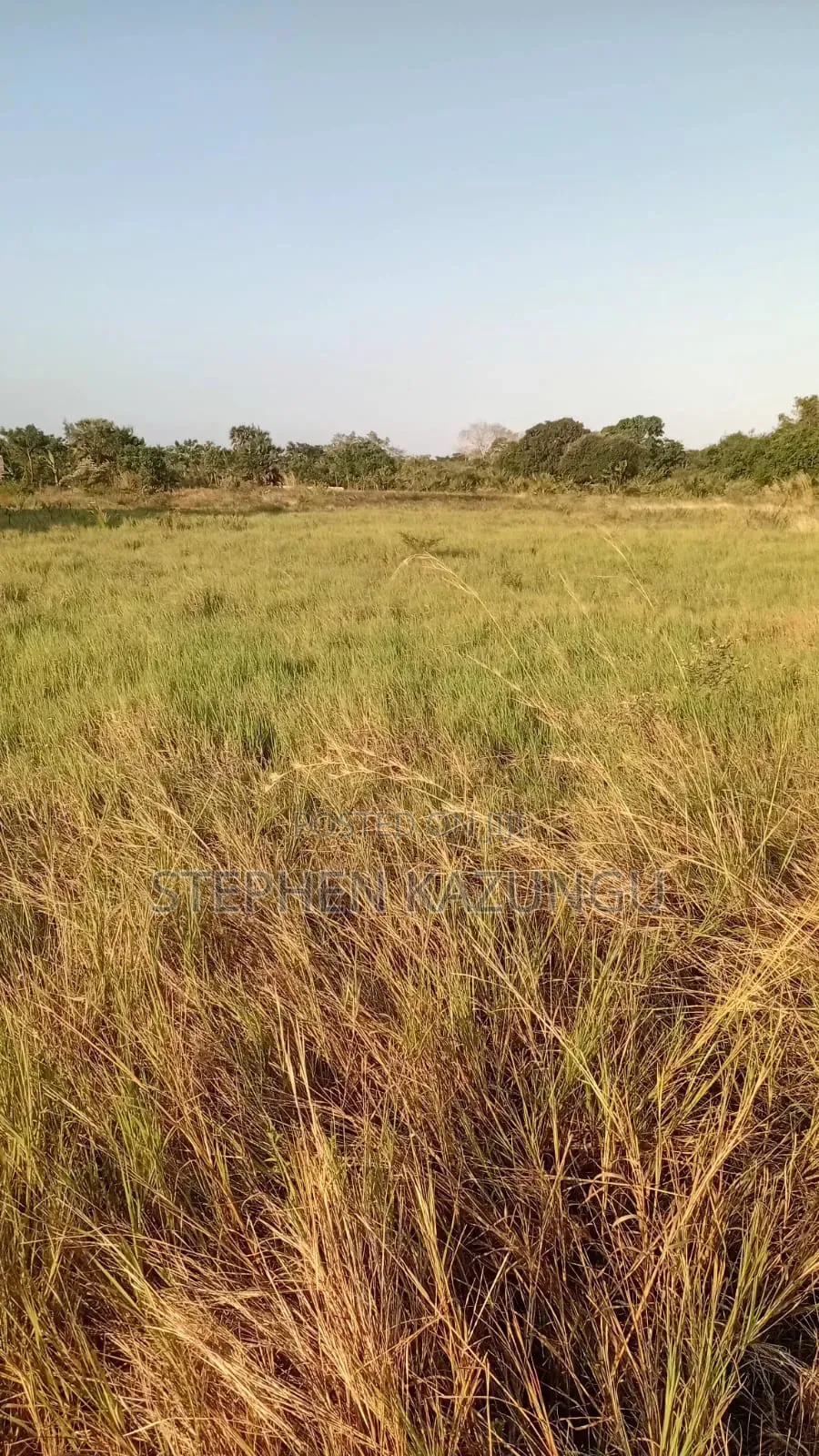 Beach Side 1/4 Acre Plot @ Kinondo, 400 Metres From the Tarmac Road.