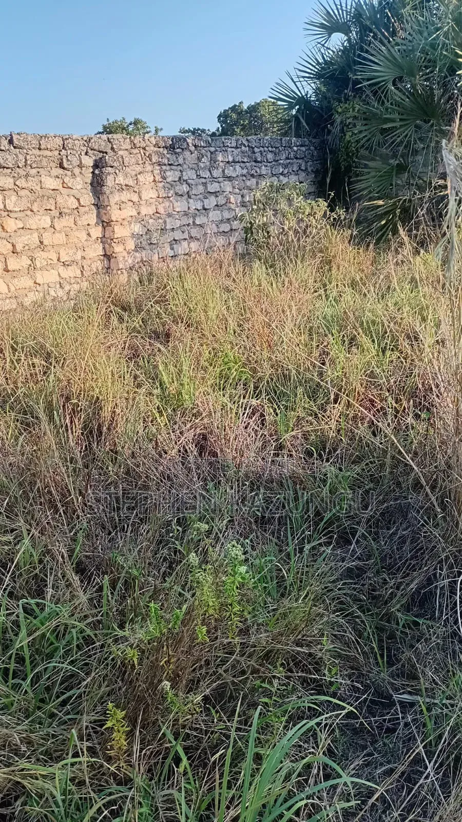 Great 1/4 Acre Plot @ Kinondo, 400 Metres From the Main Tarmac Road.
