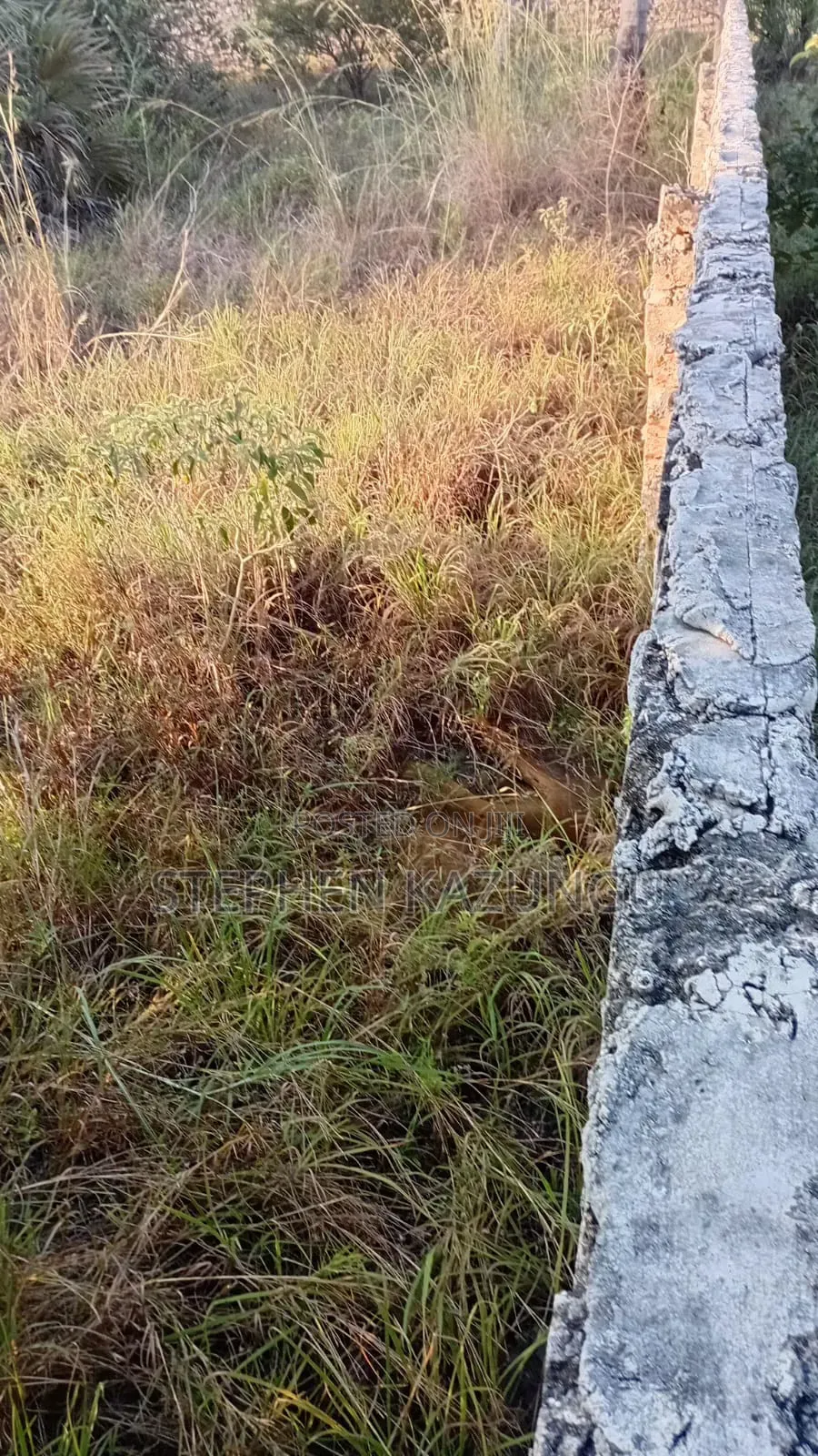 Great 1/4 Acre Plot @ Kinondo, 400 Metres From the Main Tarmac Road.