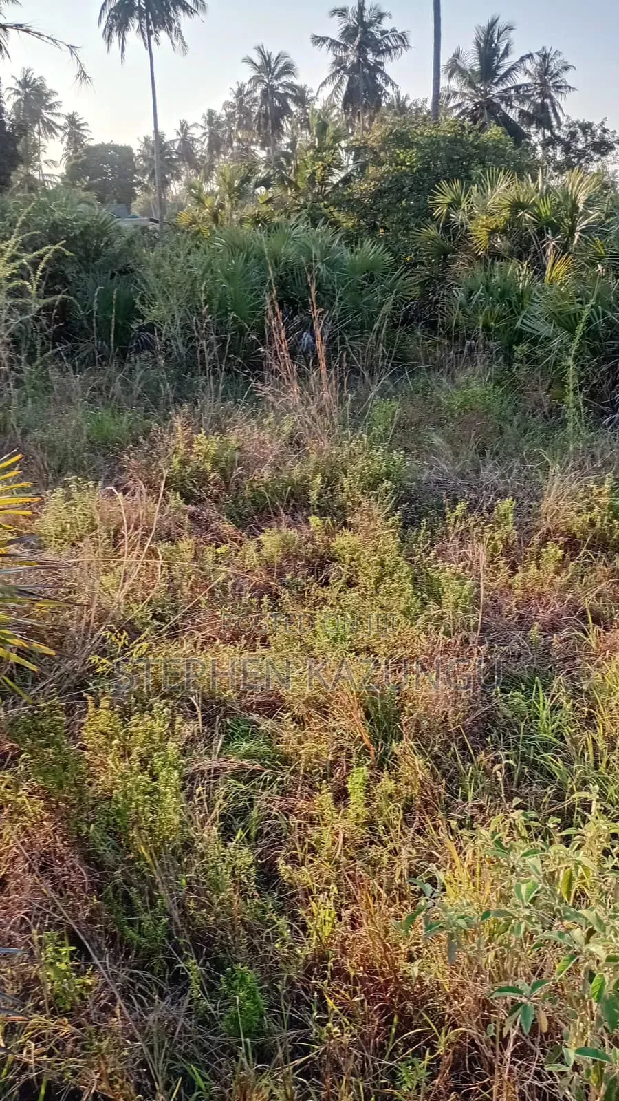 Great 1/4 Acre Plot @ Kinondo, 400 Metres From the Main Tarmac Road.