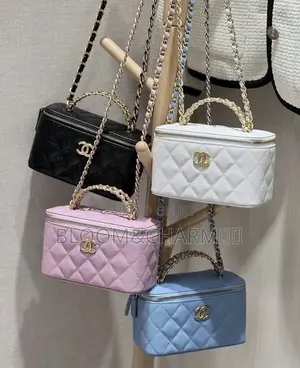 Aesthetic Woman Bags