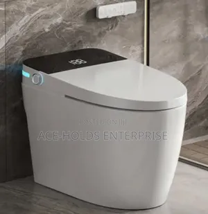 Bolesi Smart Intelligent Floor Mounted Toilet Seat