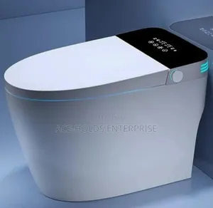 Bolesi Smart Intelligent Floor Mounted Toilet Seat