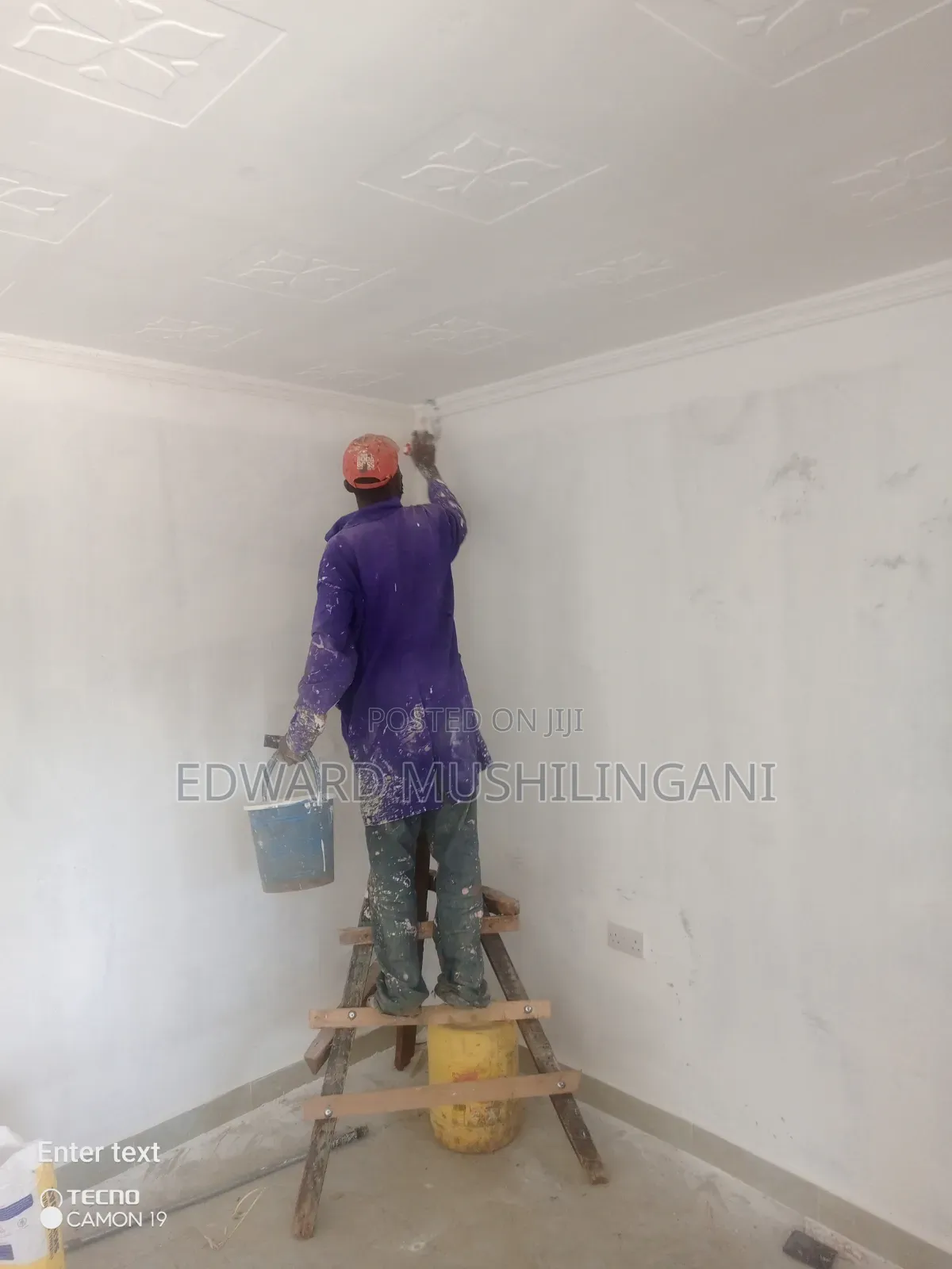 Professional Painter
