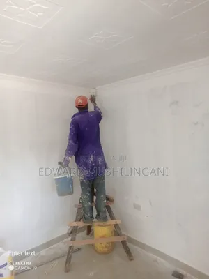 Professional Painter