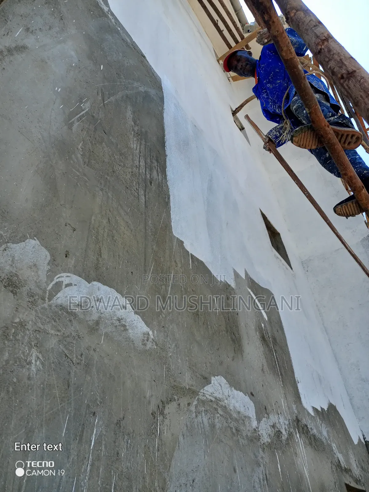 Professional Painter