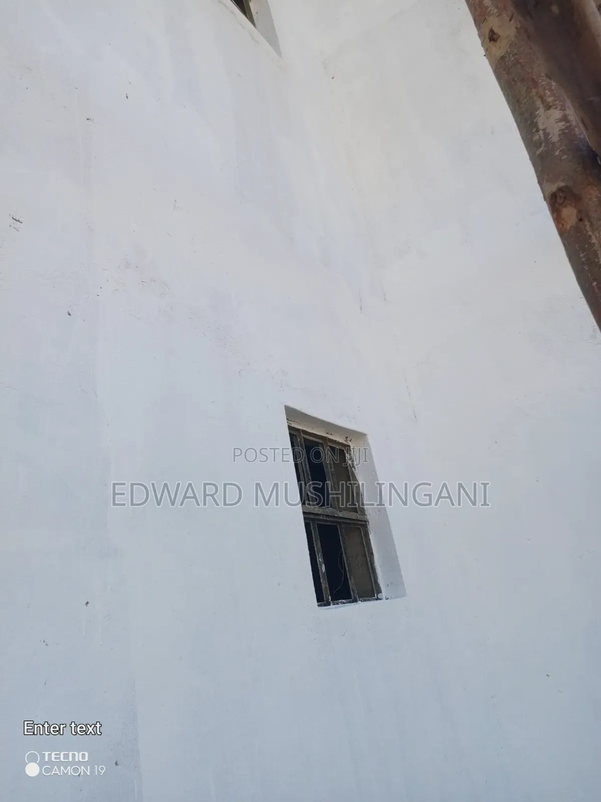 Professional Painter