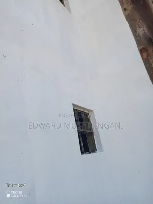 Professional Painter