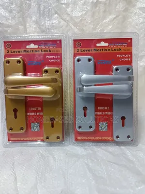 Mortise Door Locks Silver and Gold