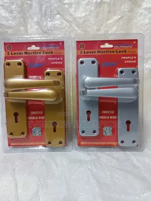 Mortise Door Locks Silver and Gold