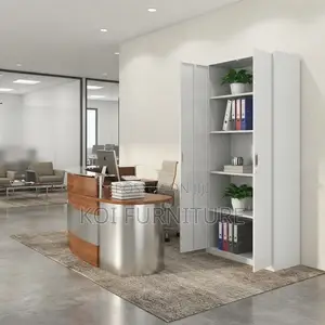 Office Cabinet; Two Doors Offices Document Storage Cabinets