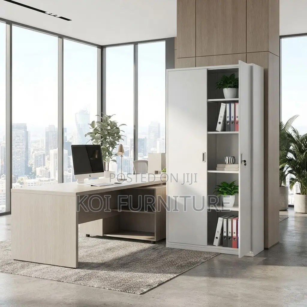 Office Cabinet; Two Doors Offices Document Storage Cabinets