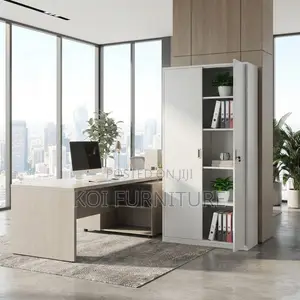 Office Cabinet; Two Doors Offices Document Storage Cabinets