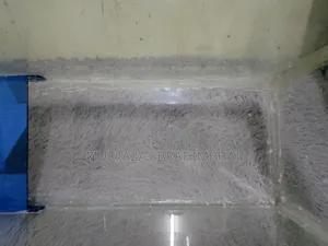 Fish Aquarium