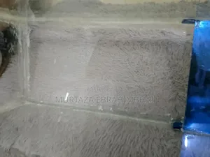 Fish Aquarium