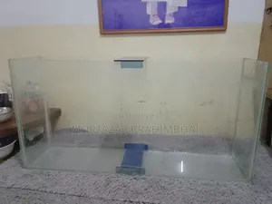Fish Aquarium
