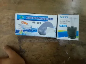 Fish Aquarium
