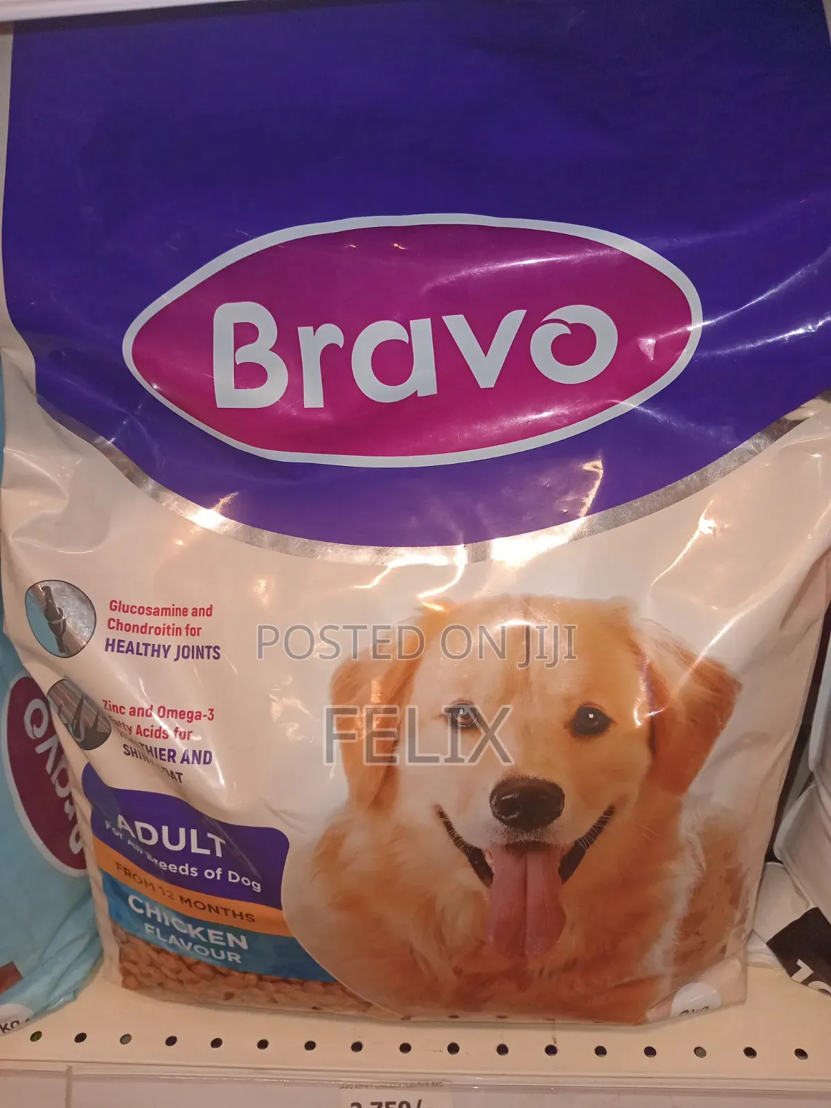 1-3 months Male Purebred German Shepherd