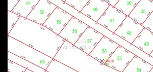 Eighth of an Acre Riat Plots