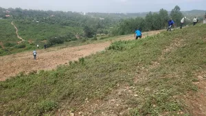 Eighth of an Acre Riat Plots