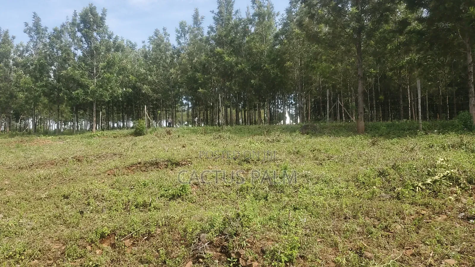 Eighth of an Acre Riat Plots
