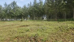 Eighth of an Acre Riat Plots