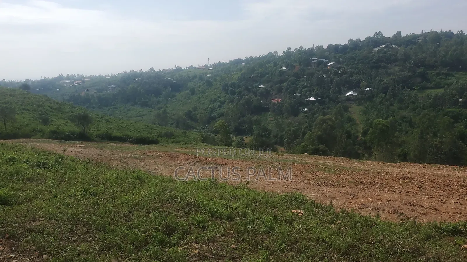 Eighth of an Acre Riat Plots