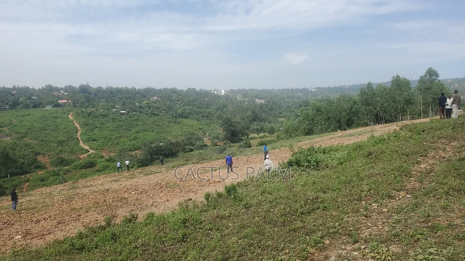 Eighth of an Acre Riat Plots