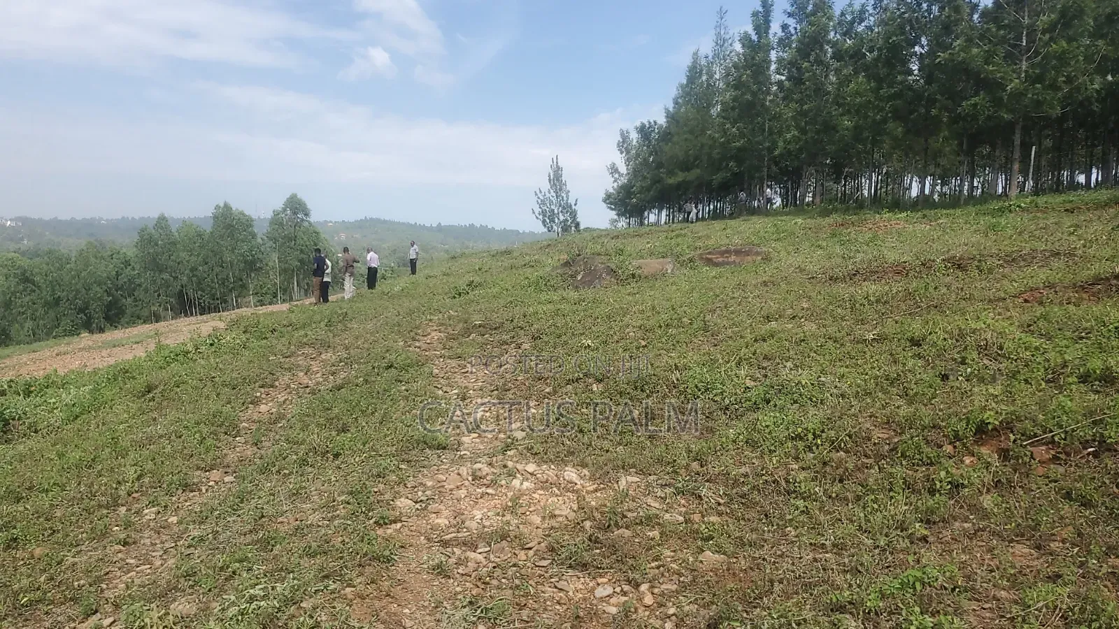 Eighth of an Acre Riat Plots