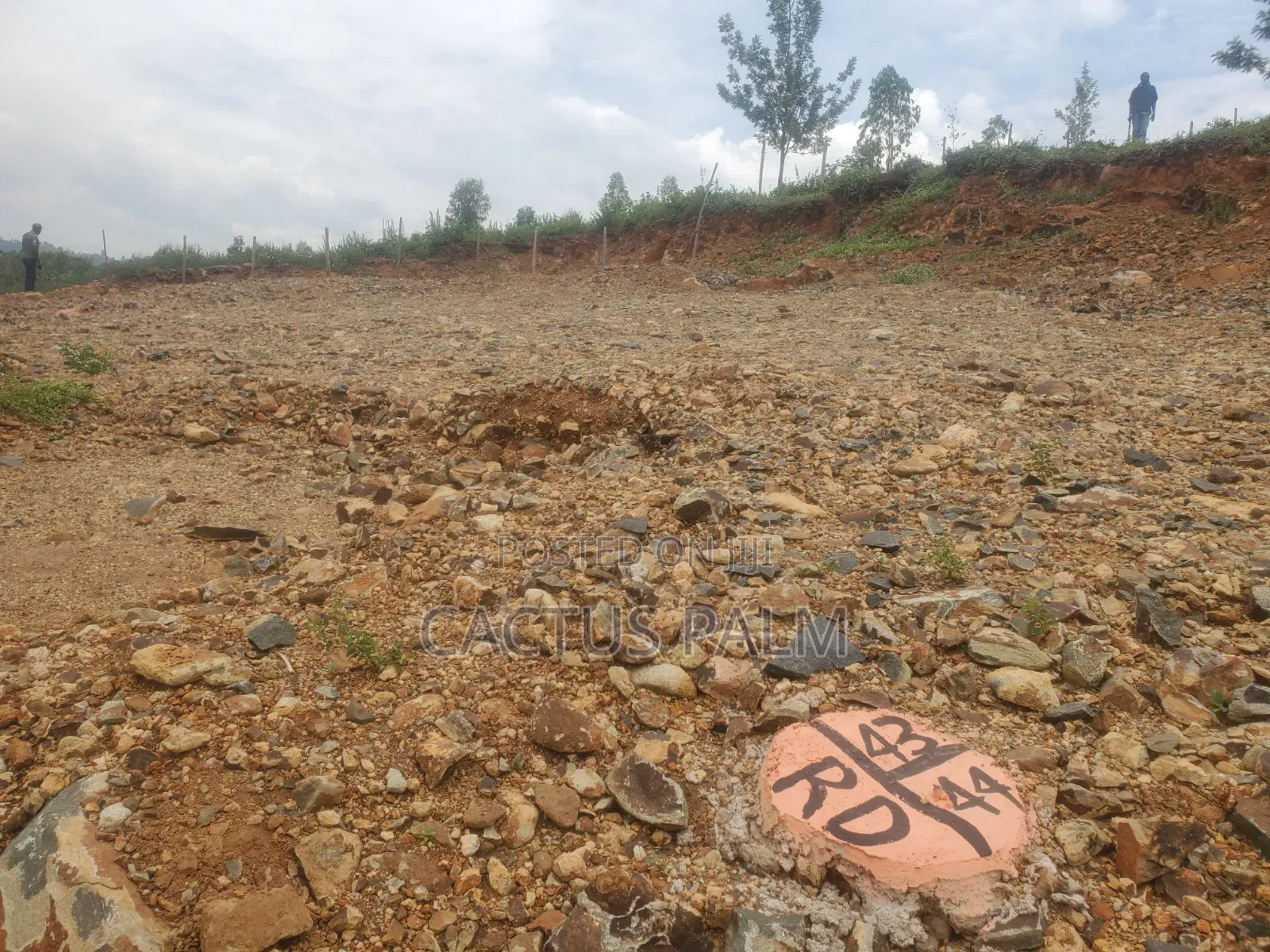 Eighth of an Acre Riat Plots