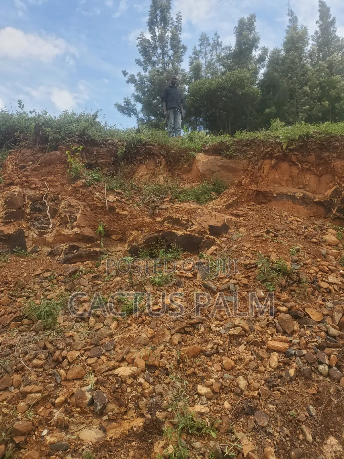 Eighth of an Acre Riat Plots