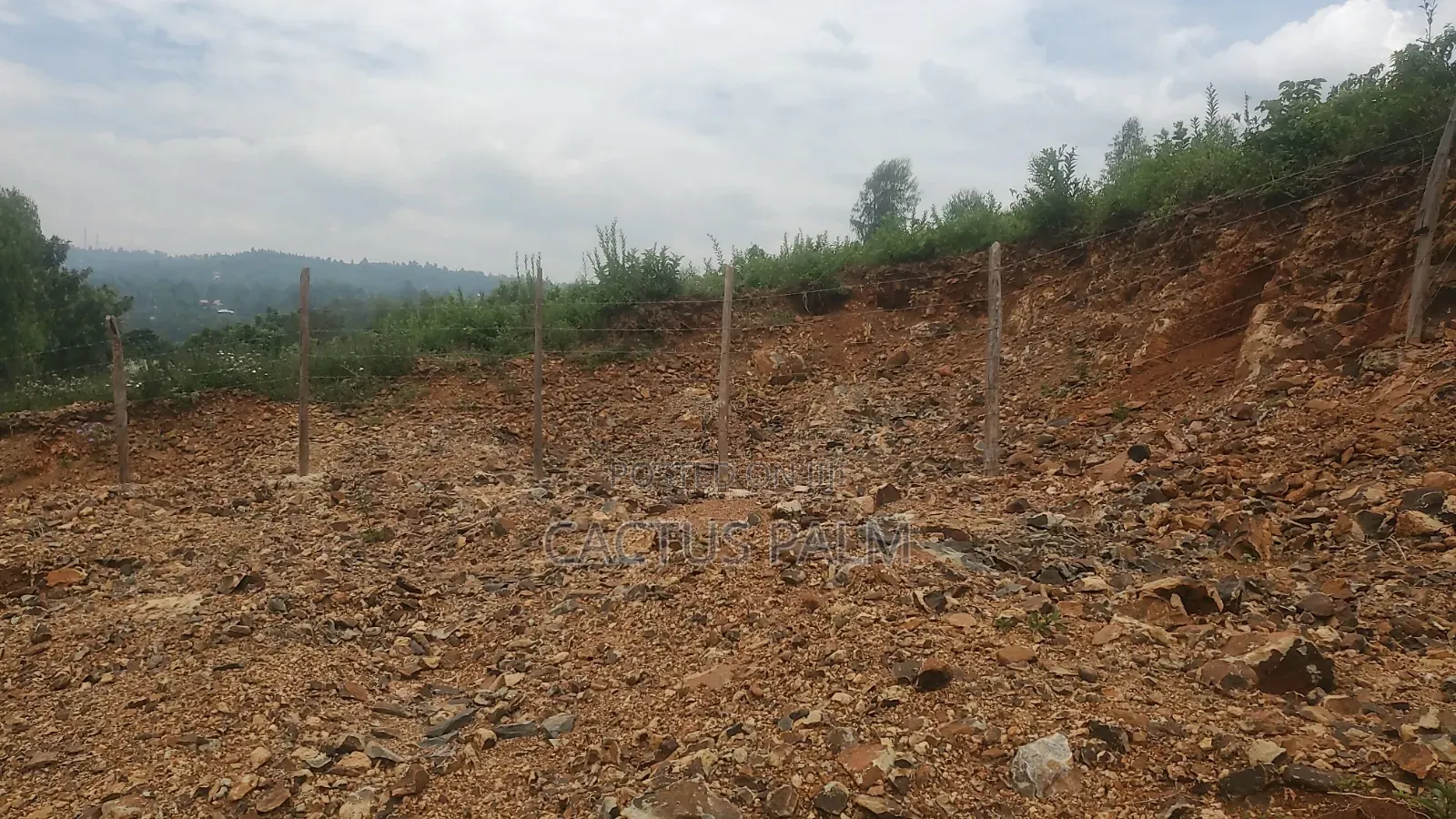 Eighth of an Acre Riat Plots