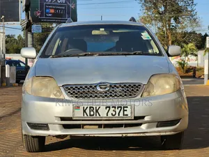 Toyota Corolla Fielder 2003 Silver