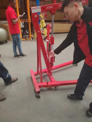 Engine Removal Installation and Lifting Crane Machine Sunshine Italy