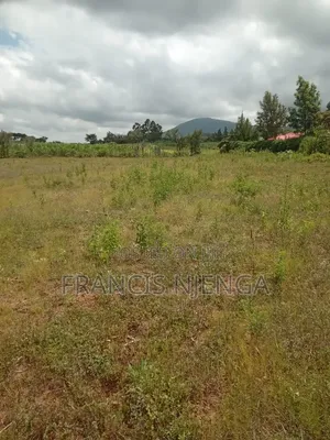 Propert Land