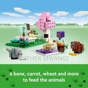 Minecraft® the Animal Sanctuary in Kenya
