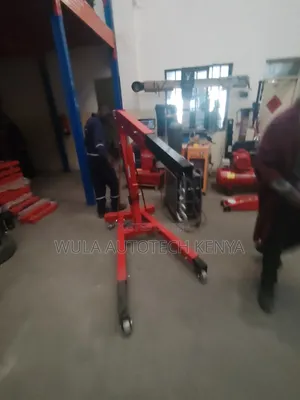 Easy and Time Saving Engine Crane Hoist Sunshine Italy
