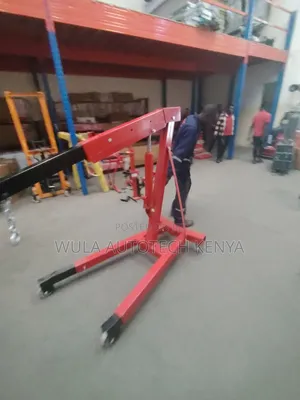 Modern Design and Latest Version Engine Crane Hoist Sunshine Italy