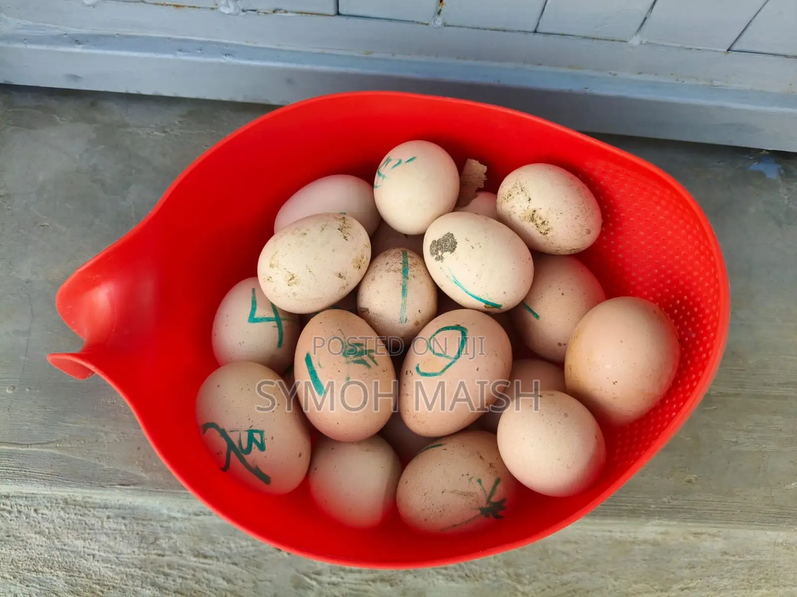 Brahma Eggs and Chickens & Kienyeji Chickens for Sale