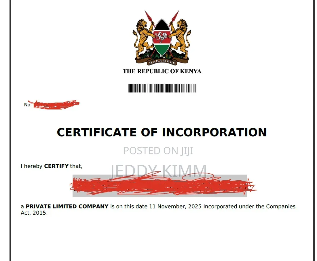 Company Registration/Immigration Services