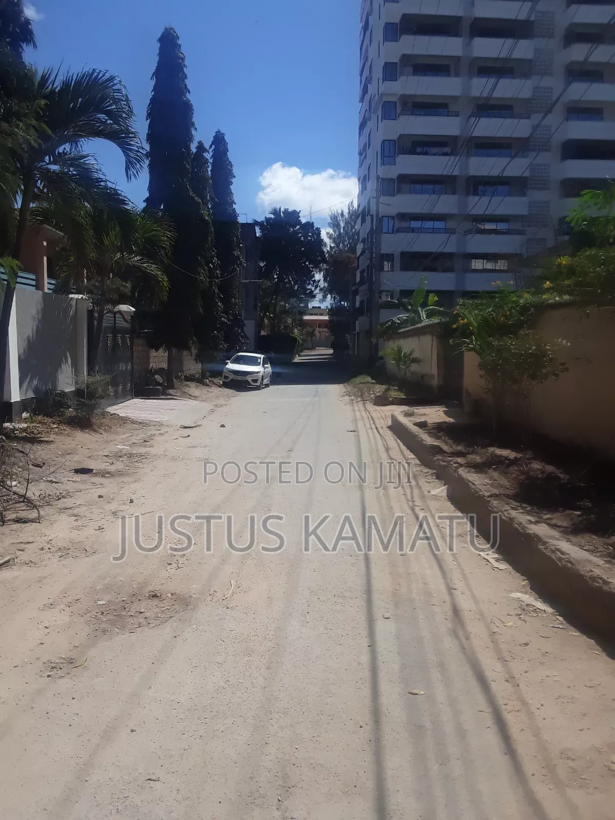Tudor Norah Plot