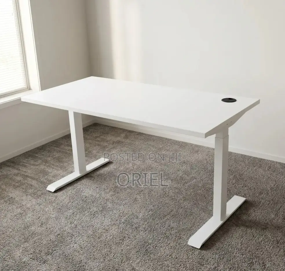 Office Desk : White Electric Standing Desk- 120CM