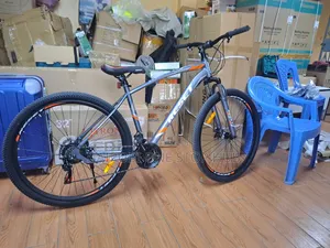 Reset 29” Mountain Bike With Gears