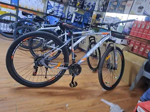 Reset MTB Bike Size 29 Giant Bike