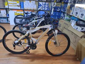 Adult Mountain Bike Size 29
