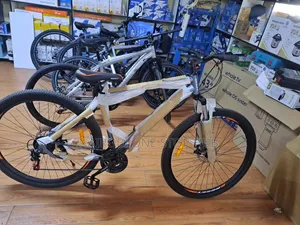 Adult Mountain Bike Size 29