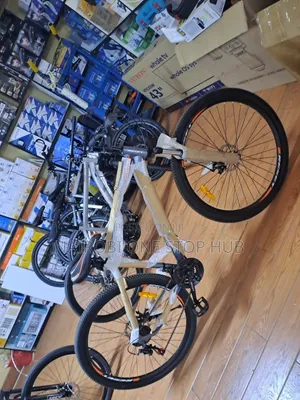 Adult Mountain Bike Size 29